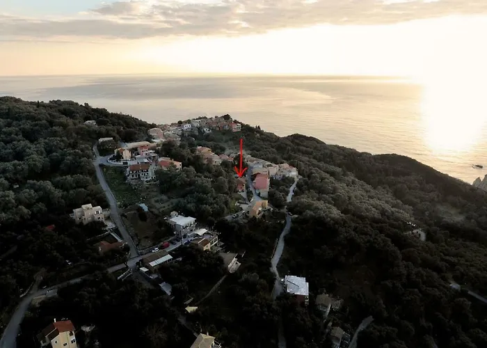 Coralli 1 Dimitris